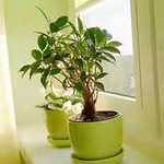 4 Ways to Keep Indoor Air Fresh