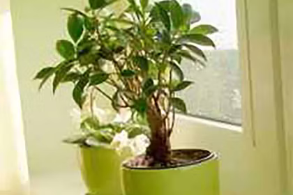 4 Ways to Keep Indoor Air Fresh