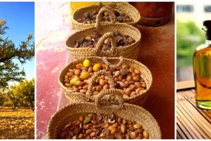 Argan Care by QNet – Ancient Moroccan Royal Treasure