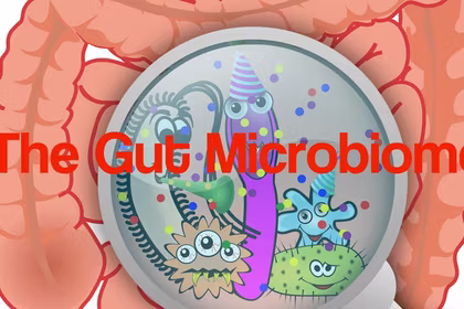 Prebiotics and Probiotics — The Key to Your Gut Health