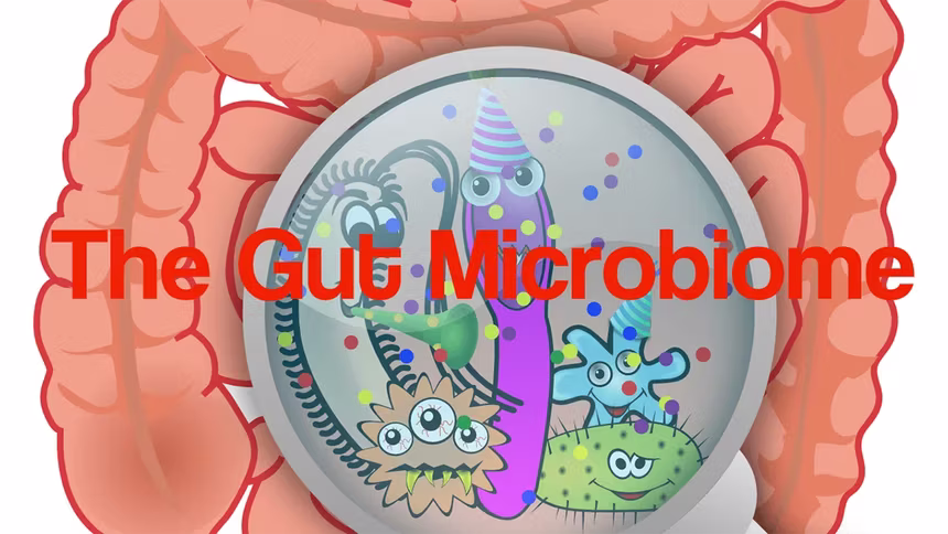 Prebiotics and Probiotics — The Key to Your Gut Health