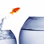 The Power of Conviction