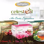 Welcome Winter with a Magical Blend of QNet’s Exotic New Teas