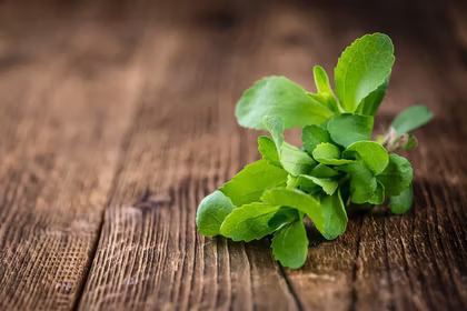 6 lesser known facts about stevia