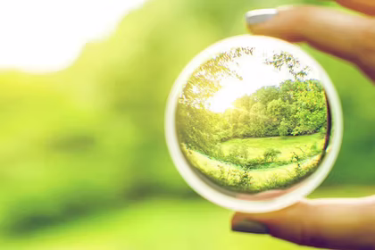 These entrepreneurs believed in their vision, you should too