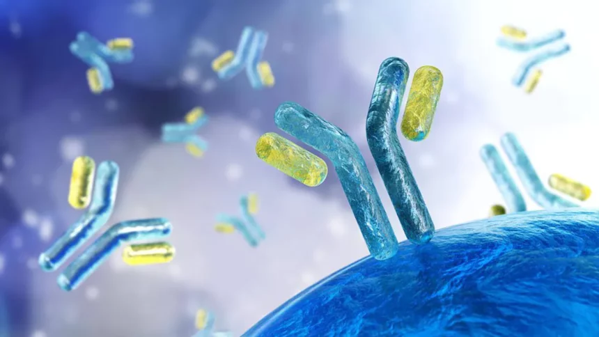 Body Immunity