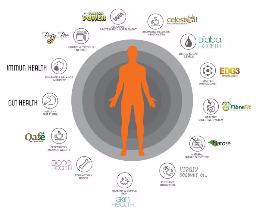 QNET And The Wellness Industry
