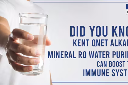 KENT QNET