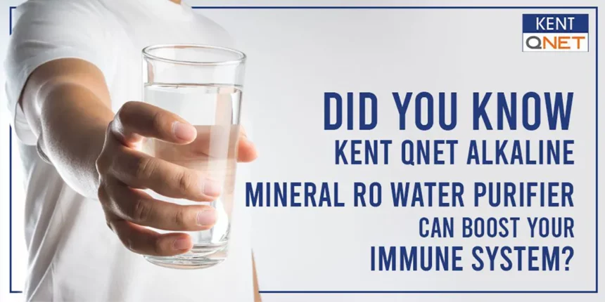 KENT QNET