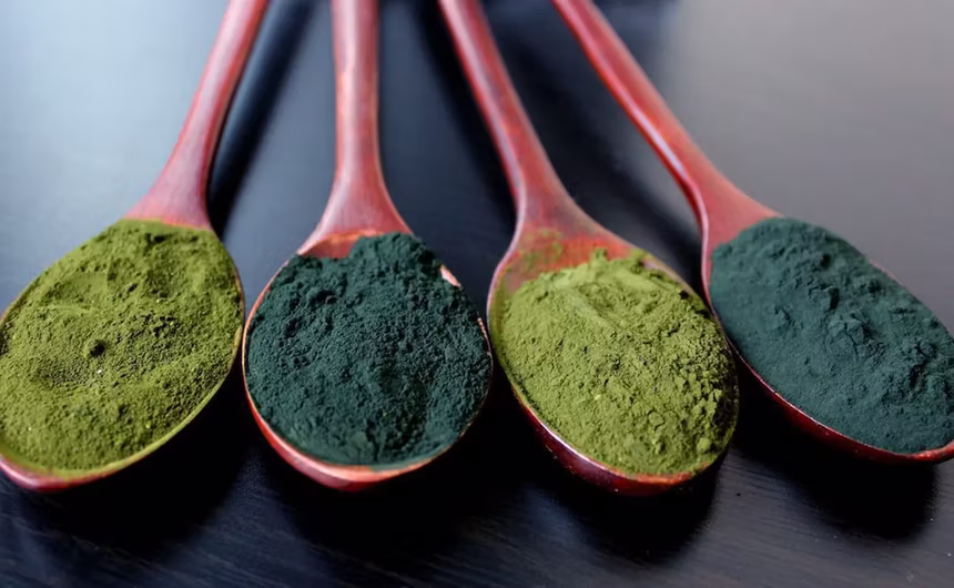 AFA – The Magic Behind Nutriplus DailyHealth