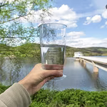 A glass of water