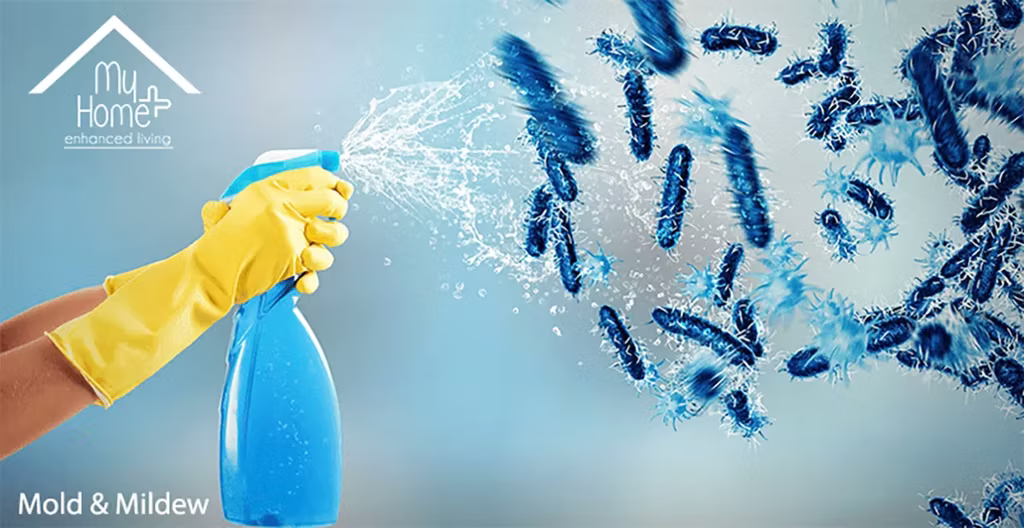 MyHomePlus DSG disinfectant spray getting rid of mold and mildew.