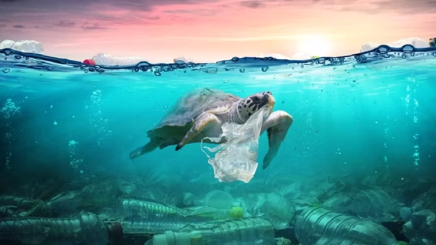 Plastic Free July